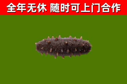 嘉兴烟酒回收干海参.jpg